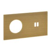  Plaque Prise 2P+T + Prise Char 