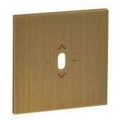  Plaque Commande de VR � levier 