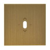  Plaque Commande de VR � levier 