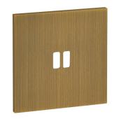  Plaque 1 Poste pour USB - Epur 