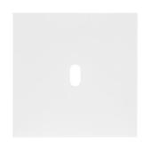  Plaque 1 Poste pour m�canisme 