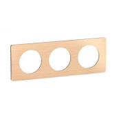  Plaque C�liane 3 postes - H�tr 