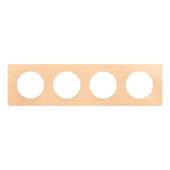  Plaque C�liane 4 postes - H�tr 