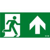  PICTOGRAMME HORIZONTAL FLECHE 