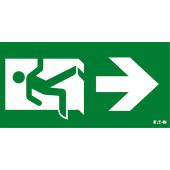  PICTOGRAMME VERTICAL FLECHE VE 