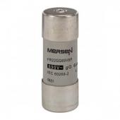  Fusible cartouche cylindrique 