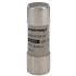  Fusible cartouche cylindrique 