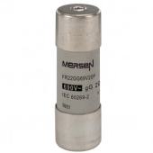  Fusible cartouche cylindrique 