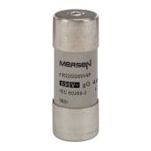  Fusible cartouche cylindrique 