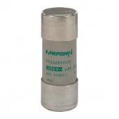  Fusible cartouche cylindrique 