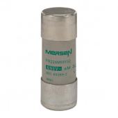  Fusible cartouche cylindrique 