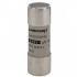  Fusible cartouche cylindrique 