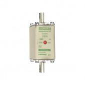  Fusible NH00 aM 500VAC 100A pa 