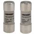  Fusible cartouche cylindrique 