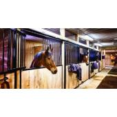  Etanche DINO 2 FARM 53W 4000K 