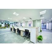  Dalle ESTELA2 Carre 24/28/32/ 