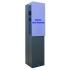  TOTEM PUBLIC POUR PT DE CHARGE 
