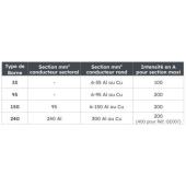  SPCM 200A avec 2 d�rivations l 