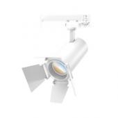  FOCUS CCT ACCESS  65*195 BLC A 