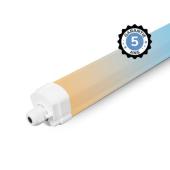  DANUBE CCT ETANCHE LED 1555X59 