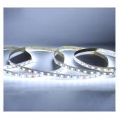  BANDEAU BLC 6000K 5M 60 LED ET 