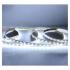  BANDEAU BLC 6000K 5M 60 LED ET 