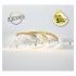  BANDEAU BLC 4000K 5M 120LED 10 