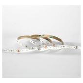  BANDEAU BLC 4000K 5M 120LED 10 