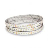  BANDEAU BLC CCT 2000-6500K 5M 