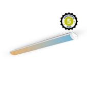  LUMINA LINEAIRE SALLE DE CLASS 