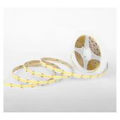  BANDEAU COB CCT + CONTROLEUR + 