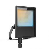  LUMOS LITE SANS CABLE PROJ 50W 