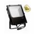 COLISEE PROJECTEUR 412X360MM 2 