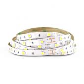  BANDEAU BLC 6000K 5M 30LED ET 