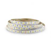  BANDEAU BLC 6000K 5M 60 LED ET 