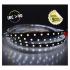  &BANDEAU BLC 6000K 5M 60LED 10 
