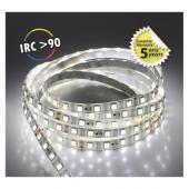  &BANDEAU BLC 6000K 5M 60LED 12 