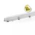  RHONE ETANCHE LED INT 1270 X 1 