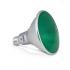  LED PAR38 16W E27 VERT 25  IP6 