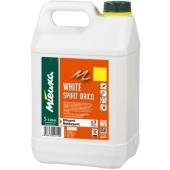  White spirit BRICO bidon 5 L 