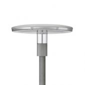  TownGuide Modle T Zro (Perfo 