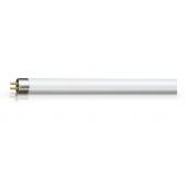  ACTINIC BL TL 6W/10 1FM/10X25C 