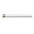  ACTINIC BL TL 6W/10 1FM/10X25C 