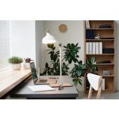  CorePro lampe LED Bulb E27 8,5 