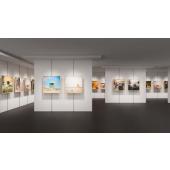  MASTER ExpertColor LED GU5,3 7 