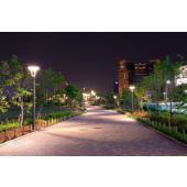  MASTER LED SON-T E27 19-50W 74 