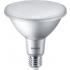  MASTER LED PAR38 13-100W E27 9 