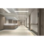  MASTER tube LED T8 HF HO 600mm 