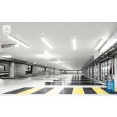  Starter LED tube - MASTER LEDt 