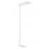  SMARTBALANCE LAMPADAIRE GEN2 F 
